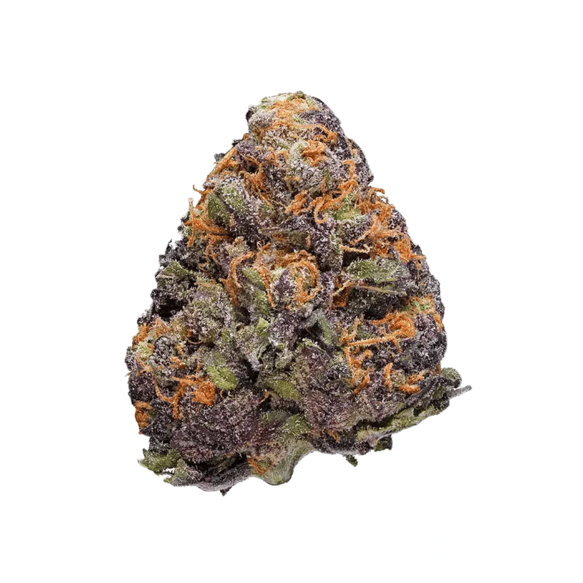 TRUU HS 21:01 Rainbow Dawg